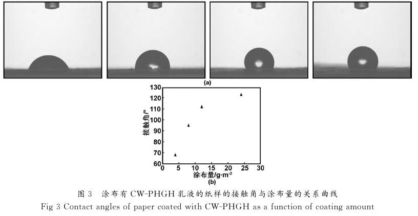 涂布有ＣＷ － ＰＨＧＨ 乳液的纸样的接触角与涂布量的关系曲线